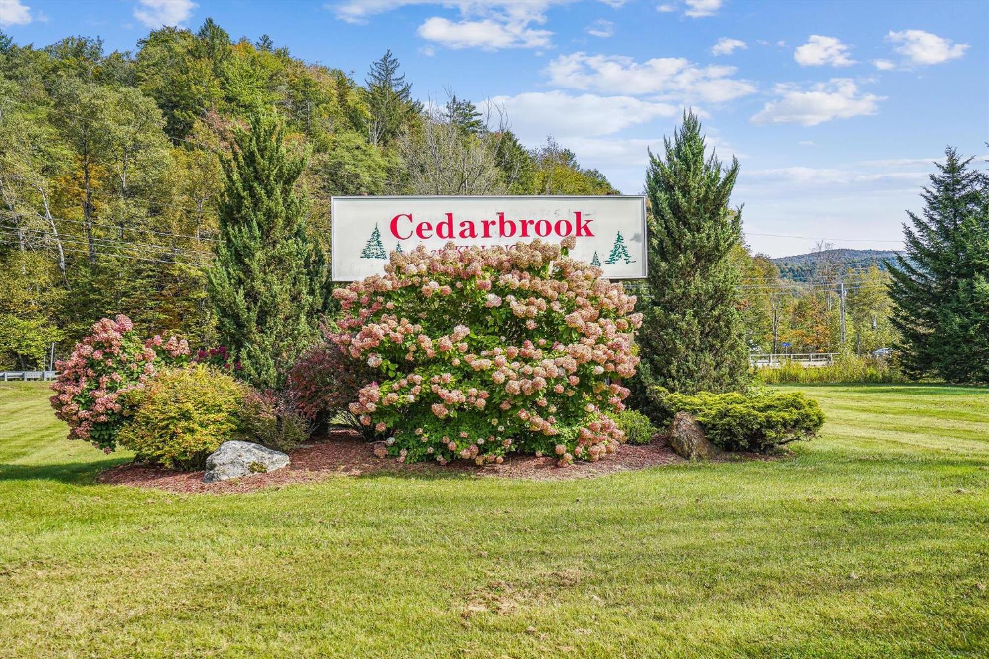 Cedarbrook Queen Suite 108 基灵顿 外观 照片